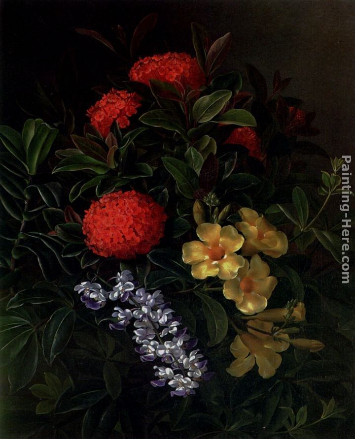 Johan Laurentz Jensen Allemanda, Ixora and Orchids